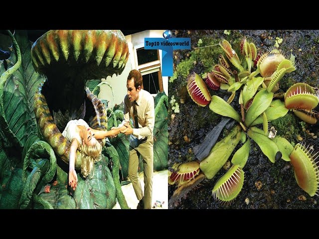10 Of The Most Poisonous Plants To Humans In The World