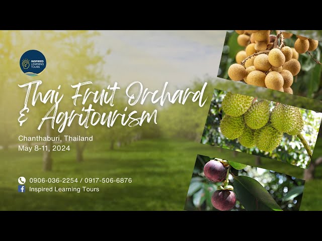 THAI FRUIT ORCHRD TOUR May 7-10, 2024. Best for Benchmarking para sa Durian at Fruit Industry