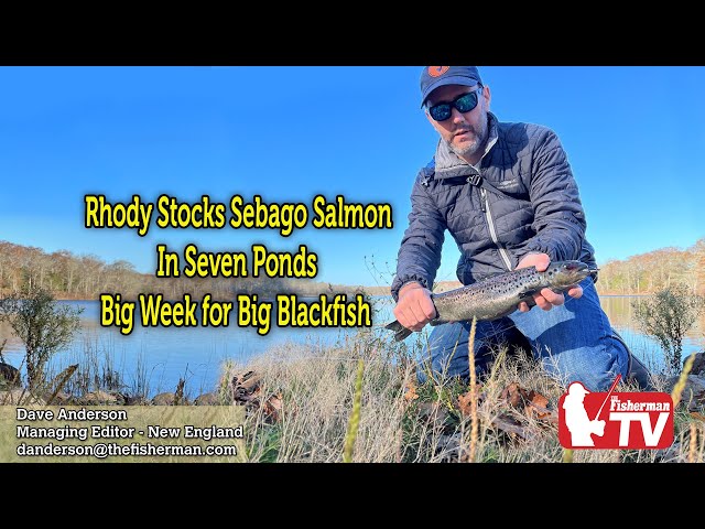 November 17, 2022  New England Video Fishing Forecast with Dave Anderson