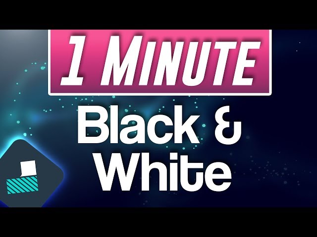 Filmora : How to Make Video Black and White (Fast Tutorial)