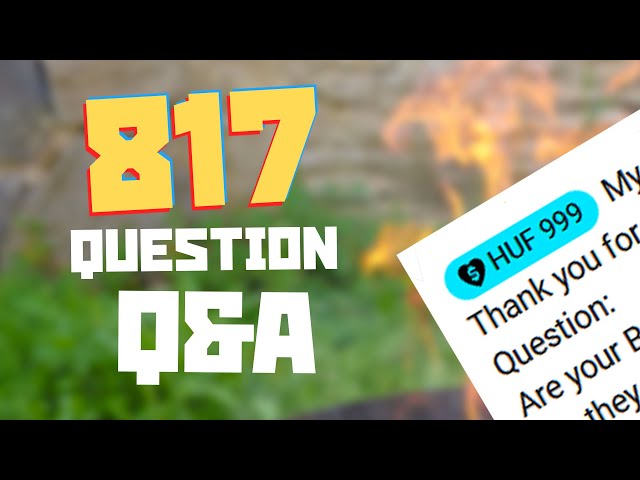 The 817 question Q&A