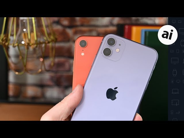 Camera Quality Comparison: iPhone 11 VS iPhone XR!