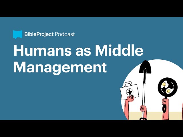 Humans as Middle Management • Image of God Ep. 1