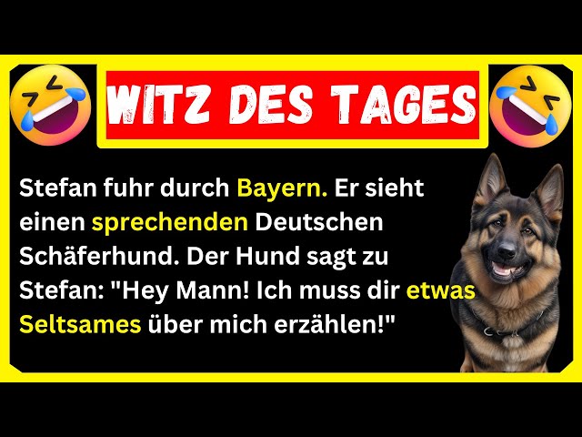 🤣BESTER WITZ! Stefan möchte einen sprechenden Deutschen Schäferhund kaufen, aber es gibt einen Haken