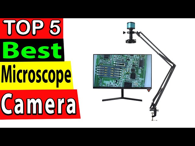 Best Microscope Camera In 2024 (TOP 5)