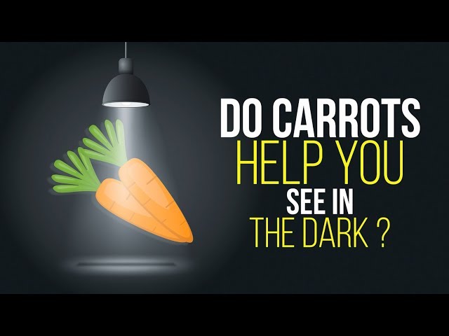 Do Carrots Help You See in the Dark ?