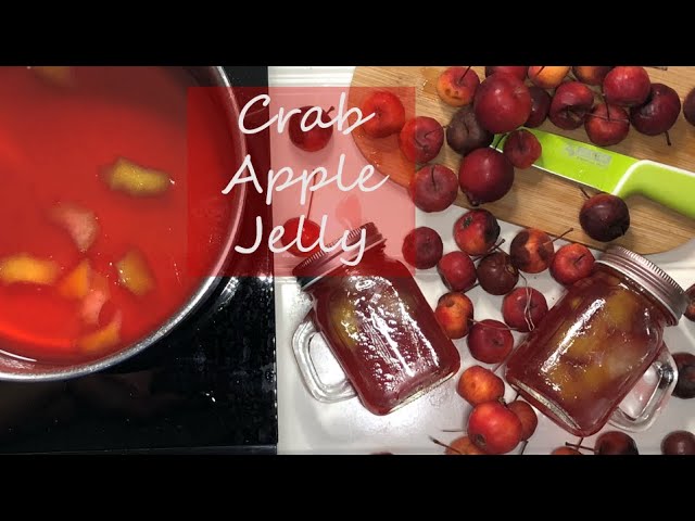Apple Jelly Apple Jam || What to do with Crab Apple? Simple and delicious Apple Jelly Recipe