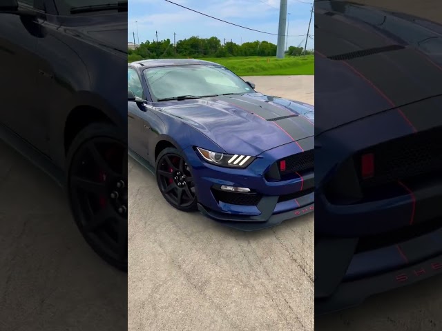 The Shelby GT350R has an INSANE exhaust!!