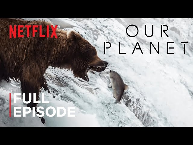 Our Planet | Fresh Water | FULL EPISODE | Netflix