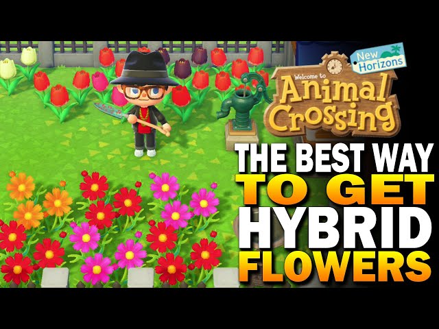 The Best Way To Grow Hybrid Flowers In Animal Crossing New Horizons [Tips & Tricks]