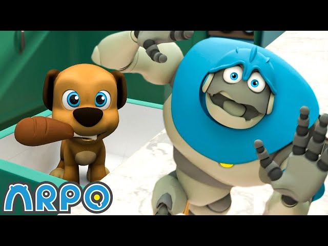 Puppy is messing around!! - Birthday DISASTER !!! | Kids TV Shows | Cartoons For Kids | Fun Anime