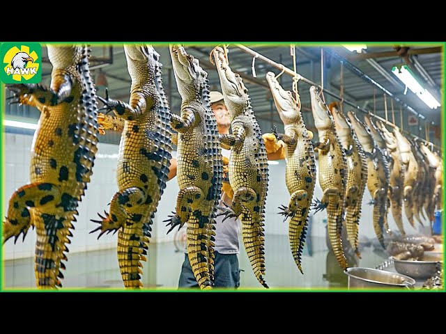 🐊 How Farmers Raise and Process Crocodile Meat and Skin in Modern Factories | Processing Factory