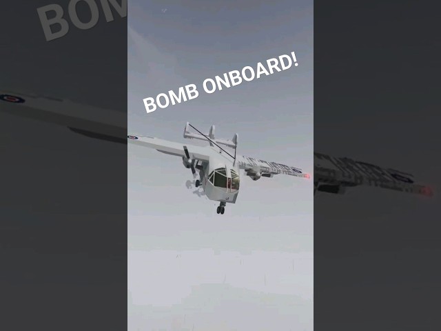 THERES A BOMB IN THIS PLANE!