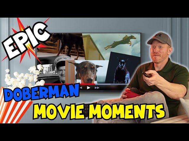 The Best Doberman Movie Scenes of All Time 🍿🎬🐾