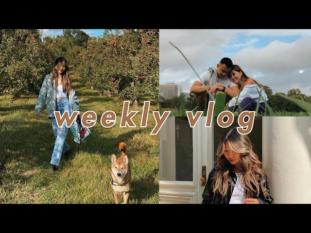 WEEKLY VLOG | getting curtain bangs, apple picking with the dogs, journaling and calm mornings