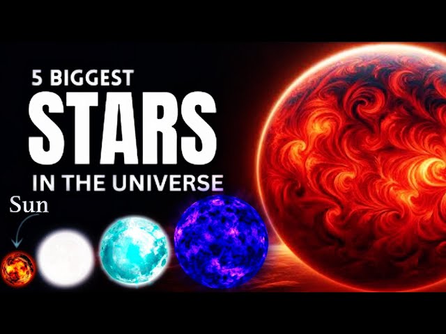 Biggest Stars in the universe 3D