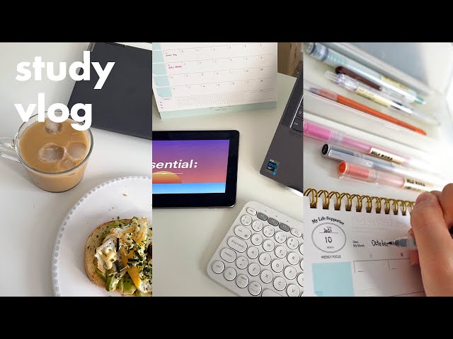 study vlog ⌨ productive weekend study routine, new korean planner, doing house chores | living alone