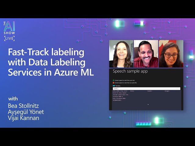 The AI Show: Ep 48 | Fast-Track labeling with Data Labeling Services in Azure ML
