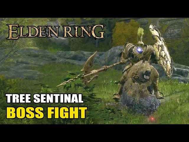 Elden Ring - Golden Halberd Weapon Location (Tree Sentinal Boss)
