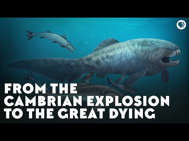 From the Cambrian Explosion to the Great Dying