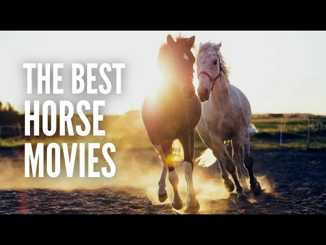 25 Best Horse Movies You Should Totally Watch