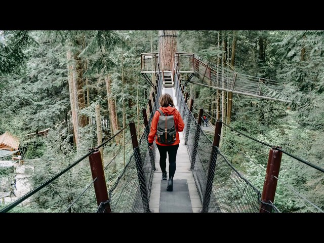 AnimoEx - Walk on the Bridge
