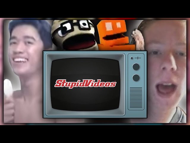 The Life, Death, and Resurrection of StupidVideos.com