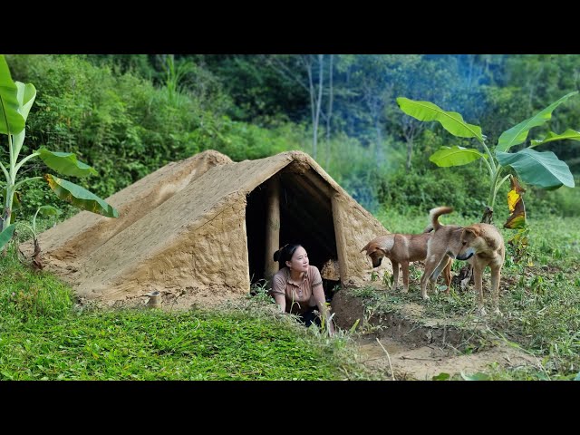 How to build hobbit house 2021 from bamboo, soil and cooking - Ep.89