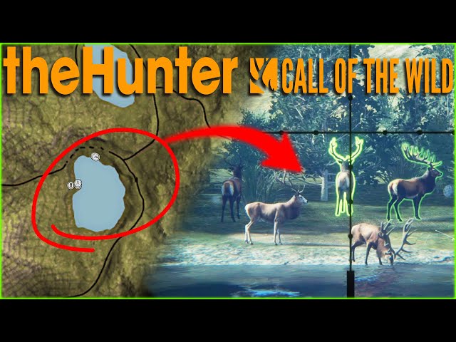 I FIXED MY RED DEER GRIND! Dont Make The Same Mistake I Did... Call of the wild
