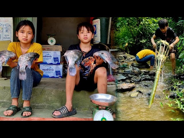 Two children 36 ways to catch fish to sell at Ly Thi Truc market, Ly Long Loc