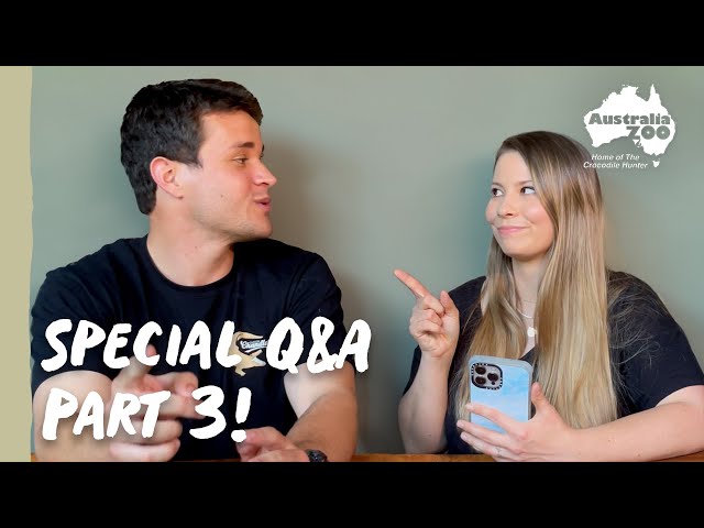 Q&A with Bindi & Chandler - Part 3 | Irwin Family Adventures