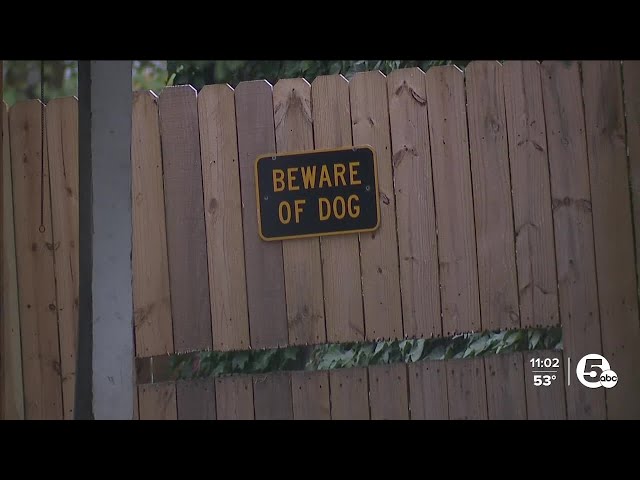 Akron homeowners demand tougher excessive dog barking ordinance