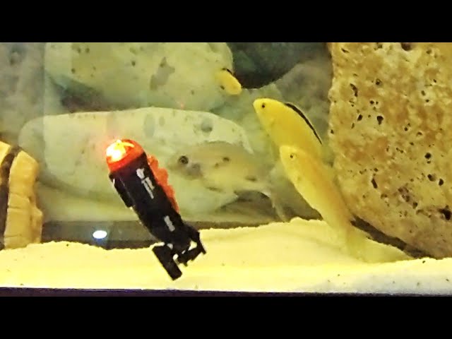 INCREDIBLY micro scale RC SUBMARINE gets unboxed & tested - Christmas Gift Idea