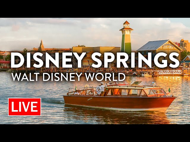 🔴 LIVE: A Relaxing Evening at Disney Springs | Walt Disney World Live Stream