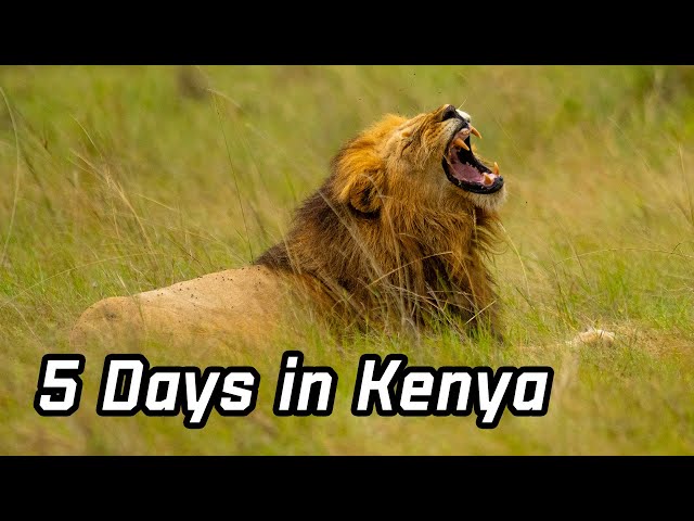 5 Days in Kenya on Film