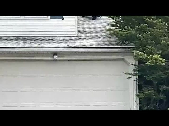 Bear makes it onto home's roof in Winsted