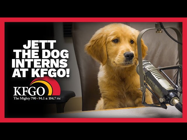 Jett The Dog Takes Over KFGO...