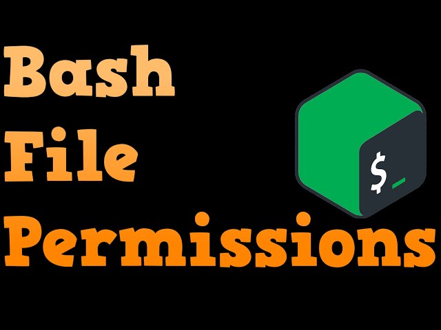 Bash Shell Scripting For Beginners 2019 - File Permissions