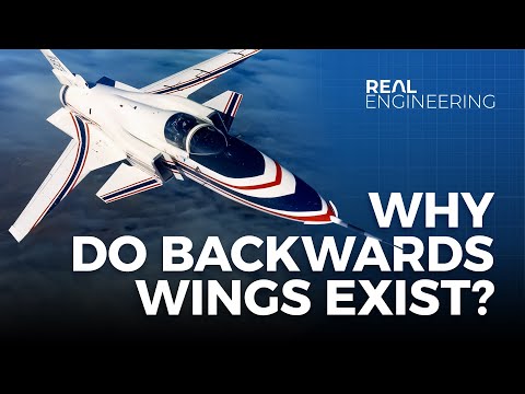 Why Do Backwards Wings Exist?