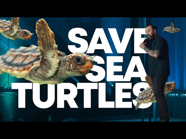 Save Sea Turtles | Dan Cummins Comedy