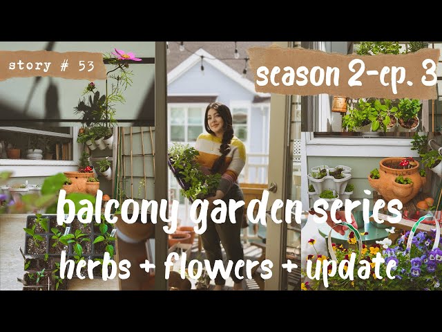 👩🏻‍🌾 Small Balcony Vegetable Garden | Saving My Seedlings + Planting Herbs & Flowers | S2 Part 3