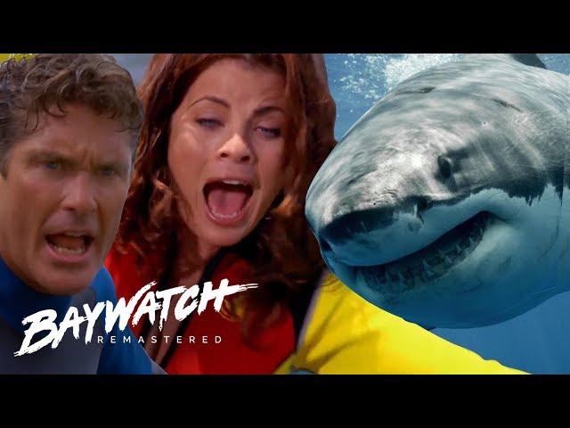SHARK HUNT! A GREAT WHITE SHARK Attacks Mitch & Caroline! Baywatch Remaster