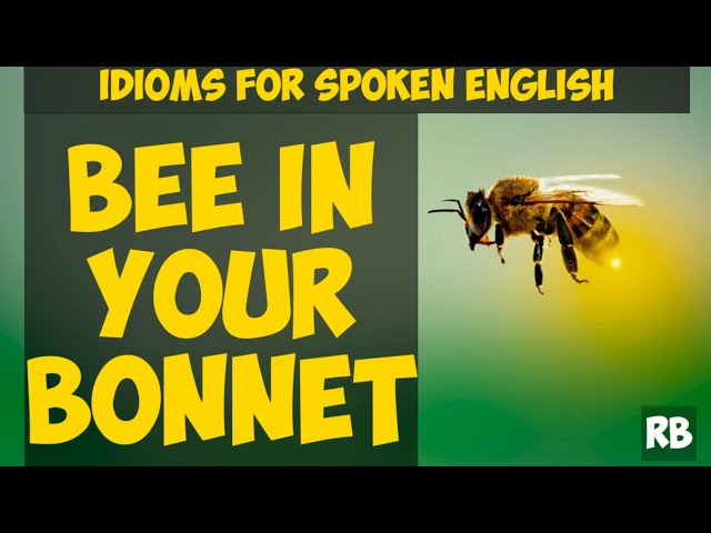 HAVE A BEE IN YOUR BONNET || ENGLISH IDIOMS