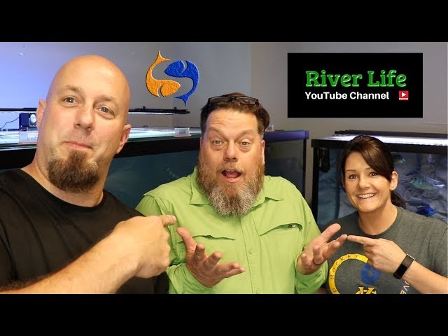 Let's Buy A BIG Aquarium!! Tank Talk Live With River Life!!