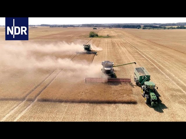 Wie geht das? Digitale Landwirtschaft | Die Nordreportage | NDR