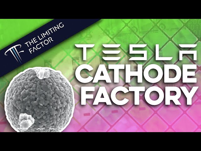 #12 Tesla's Cathode Production Process // Breaking the Price Floor