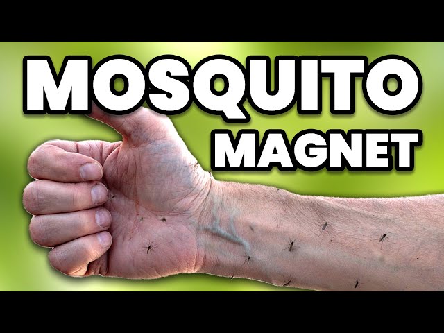 Why Mosquitoes Skip Some People