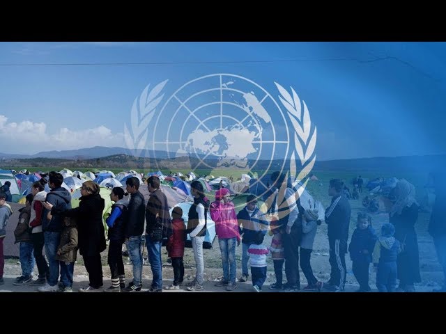 Rejection of the UN Migration Pact is Increasing Throughout the World!!!