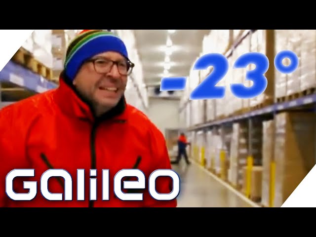 Extreme Jobs im Tiefkühllager - Galileo testet den kältesten Beruf! | Galileo | ProSieben