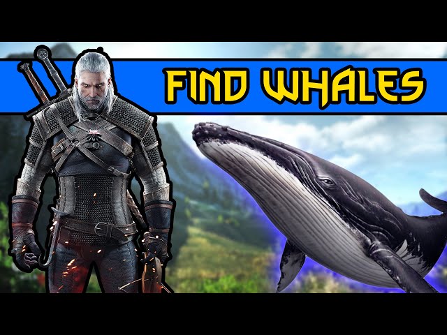 How To Swim With Whales In The Witcher 3